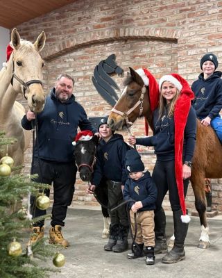 Veselé Vánoce 🎄